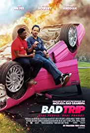 Bad Trip 2020 Dubb in Hindi HdRip